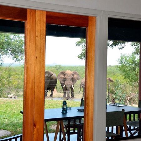 Tingala Lodge - Bed In The Bush 팔라보르와 외부 사진