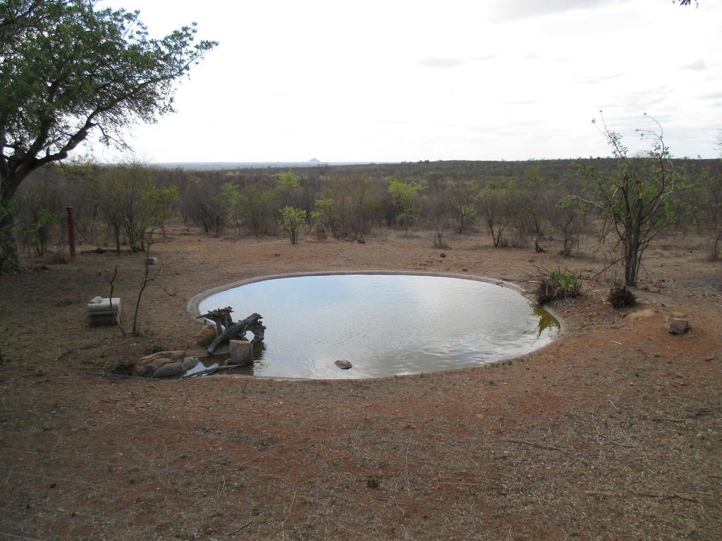 Tingala Lodge - Bed In The Bush 팔라보르와 외부 사진